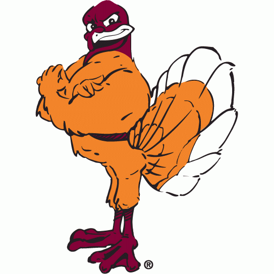 Virginia Tech Hokies 2000-Pres Mascot Logo diy DTF decal sticker